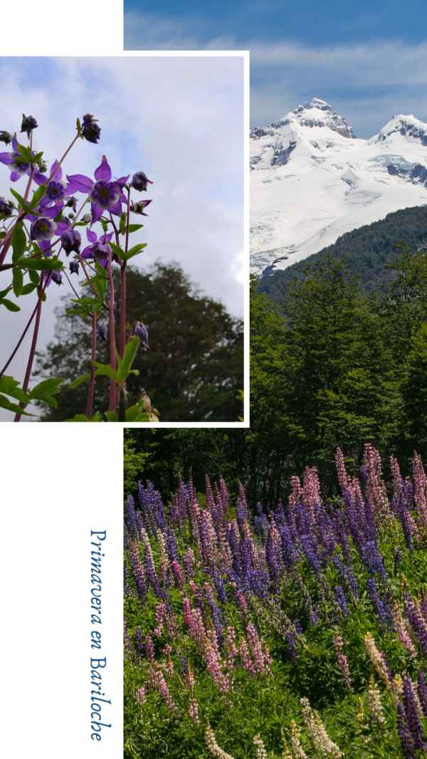 Primavera en Bariloche